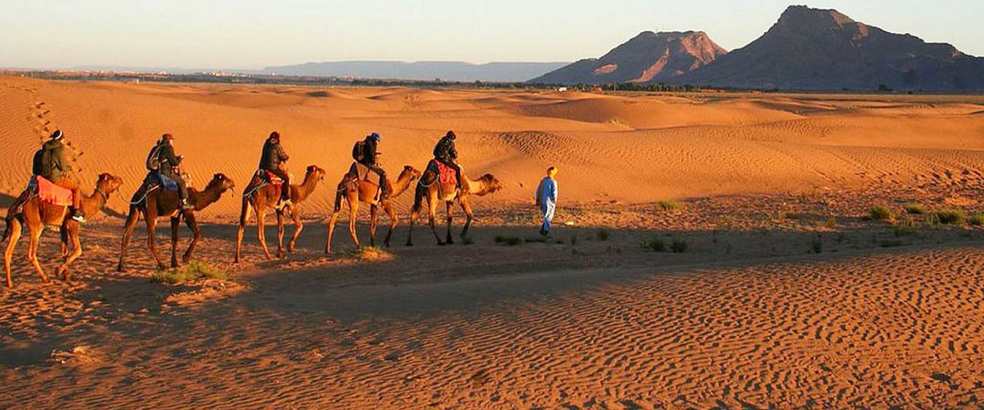 Exploring the Rich Culture, Food, and History of the Sahara Desert