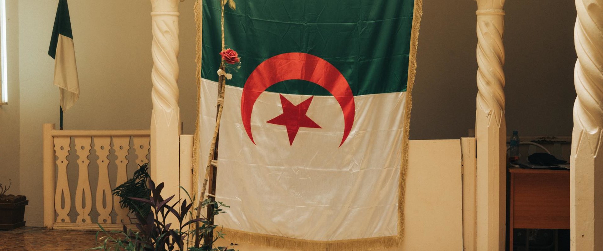 Exploring the Fascinating Berber Languages