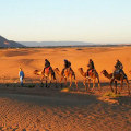 Exploring the Rich Culture, Food, and History of the Sahara Desert