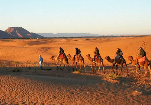 Exploring the Rich Culture, Food, and History of the Sahara Desert